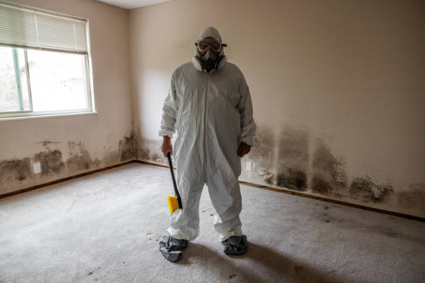 Best Crawl Space Mold Removal  in Haleiwa, HI